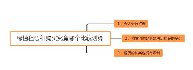 植物(wù)租赁与購(gòu)买对比.jpg